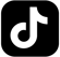 TikTok icon