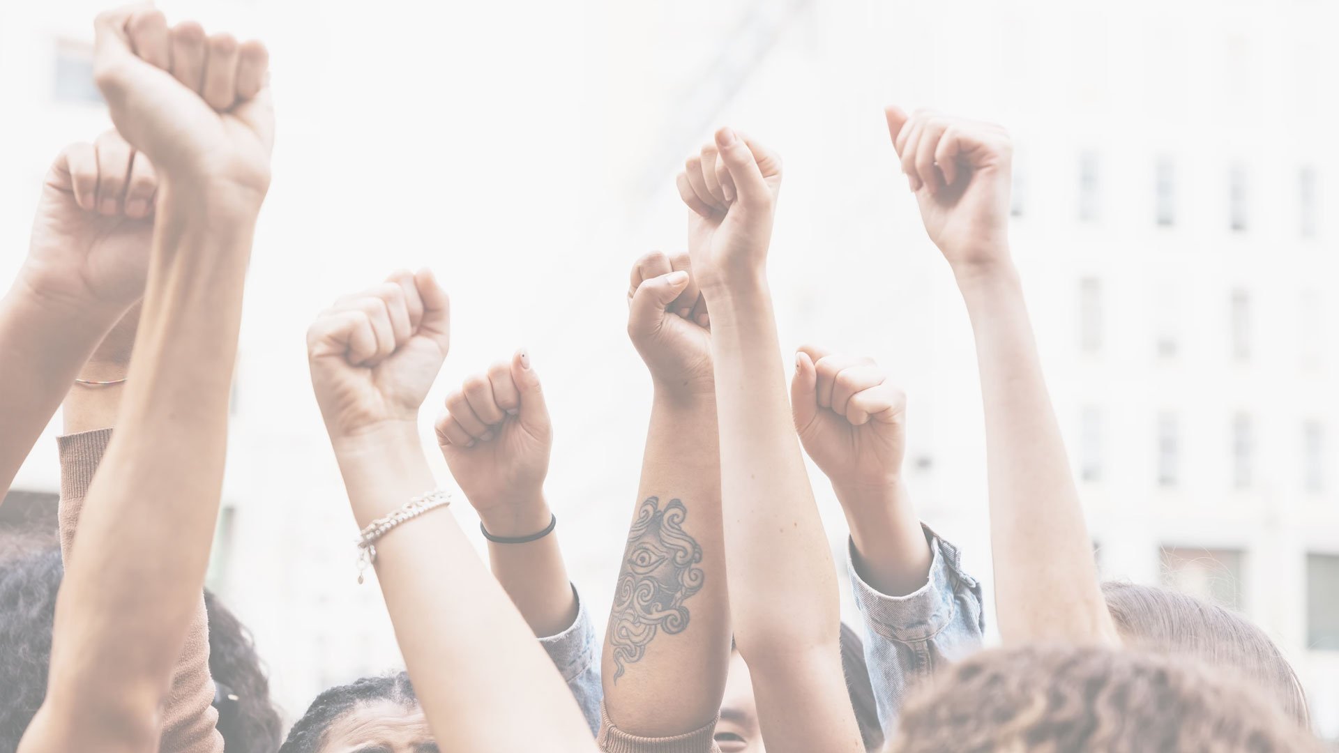 white-overlay-political-advocacy_background