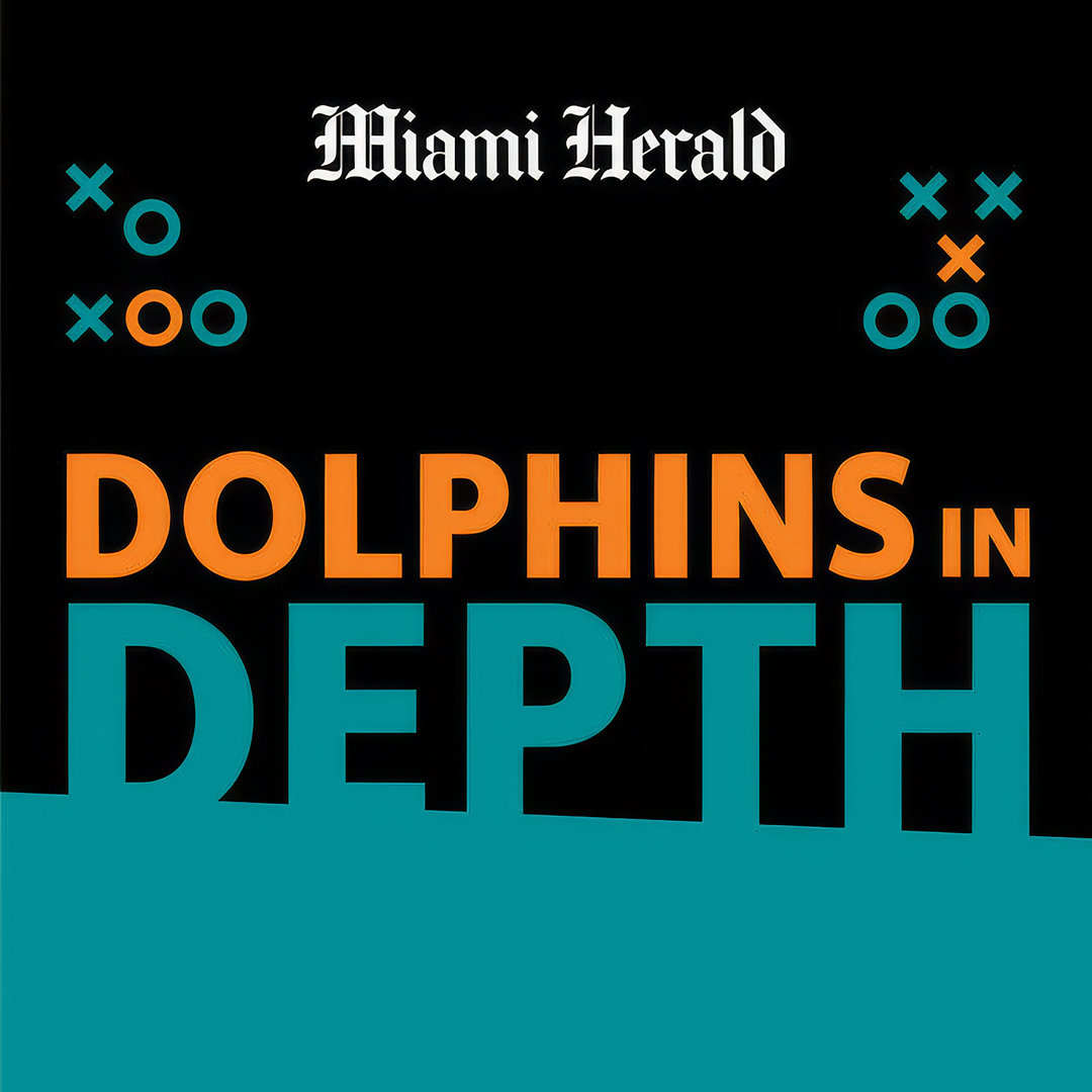 Dolphins In-Depth